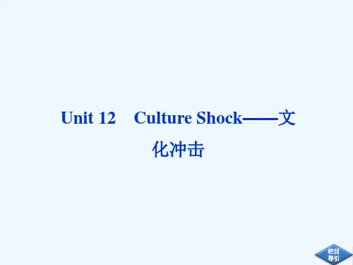 北师大版高中英语必修四Unit 12《Culture Shock》ppt复习课件