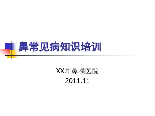 鼻科常见病知识培训