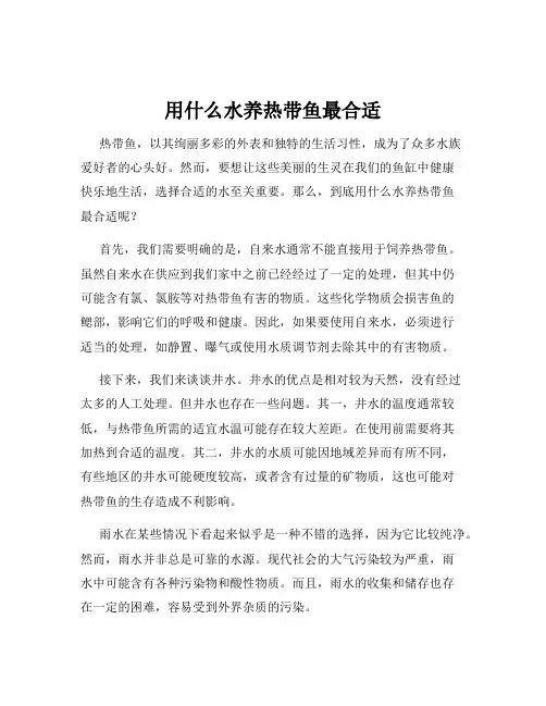 用什么水养热带鱼最合适