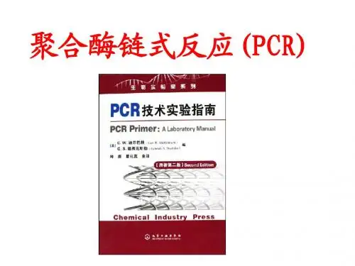 聚合酶链式反应