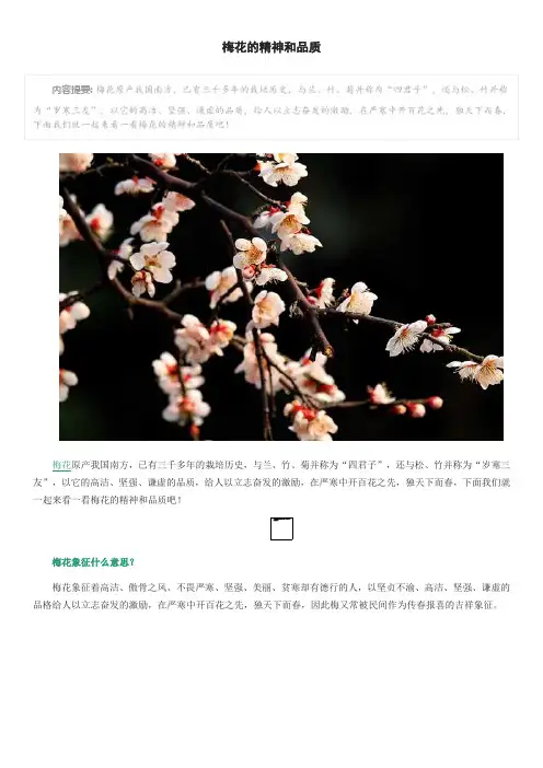 梅花的精神和品质