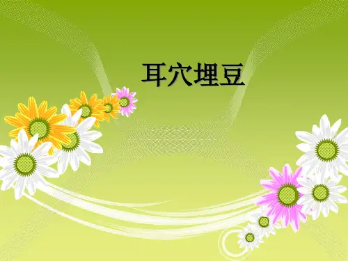 耳穴埋豆