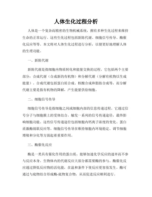 人体生化过程分析