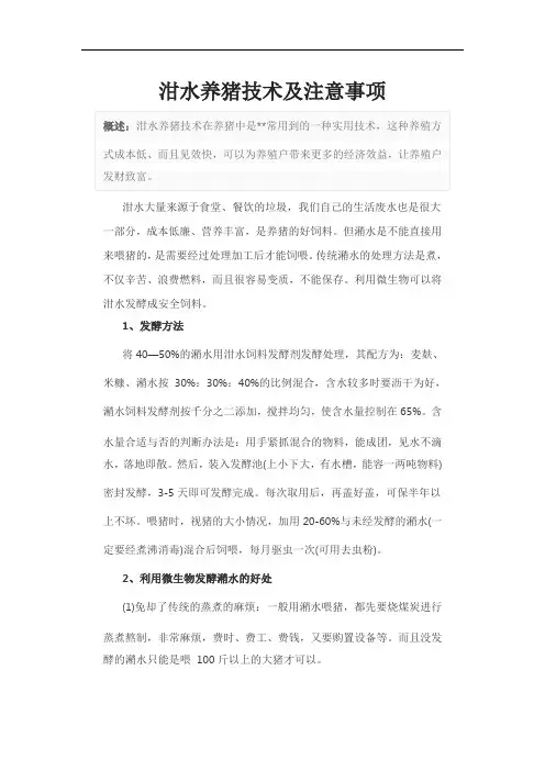 泔水养猪技术及注意事项