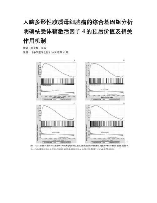 人脑多形性胶质母细胞瘤的综合基因组分析明确核受体辅激活因子4的预后价值及相关作用机制