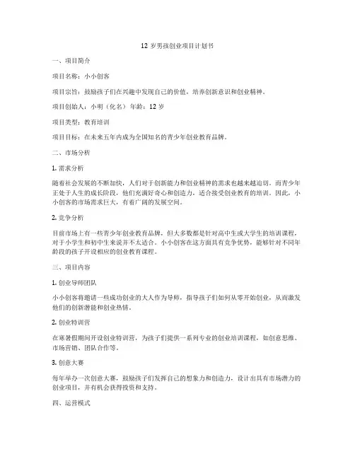 12岁男孩创业项目计划书