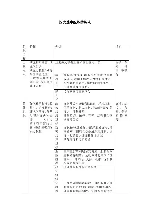 四大基本组织特点
