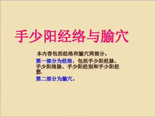 手少阳经络与腧穴