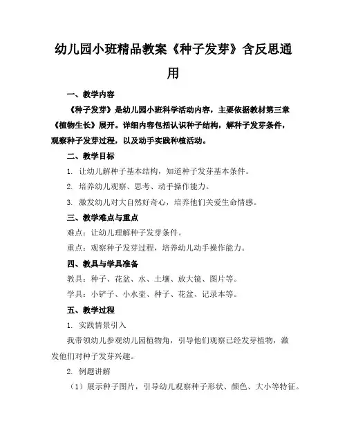幼儿园小班精品教案《种子发芽》含反思通用