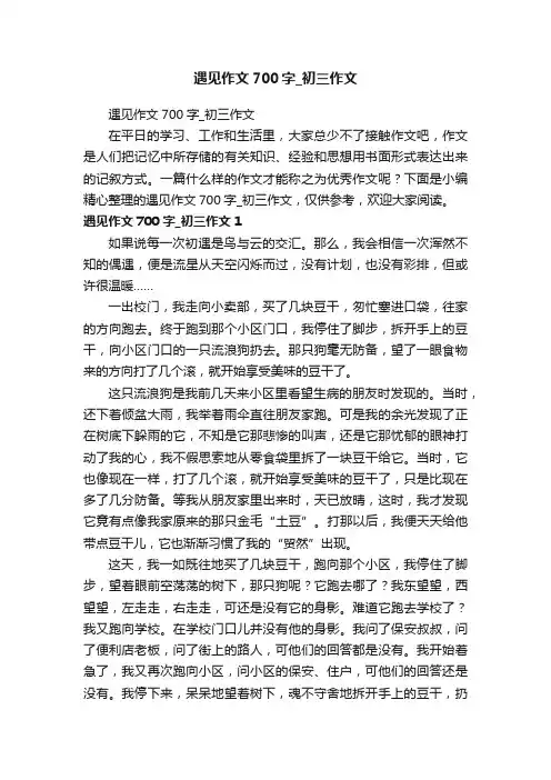 遇见作文700字_初三作文