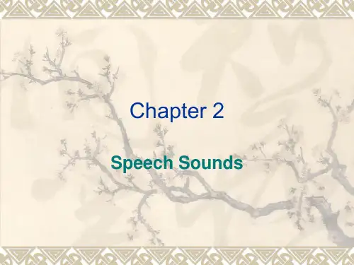 英语语言学Chapter 2 Speech Sounds