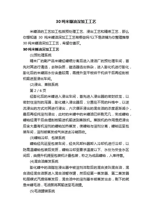 30吨米糠油深加工工艺