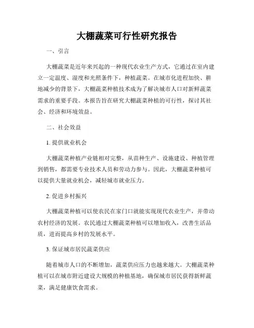 大棚蔬菜可行性研究报告