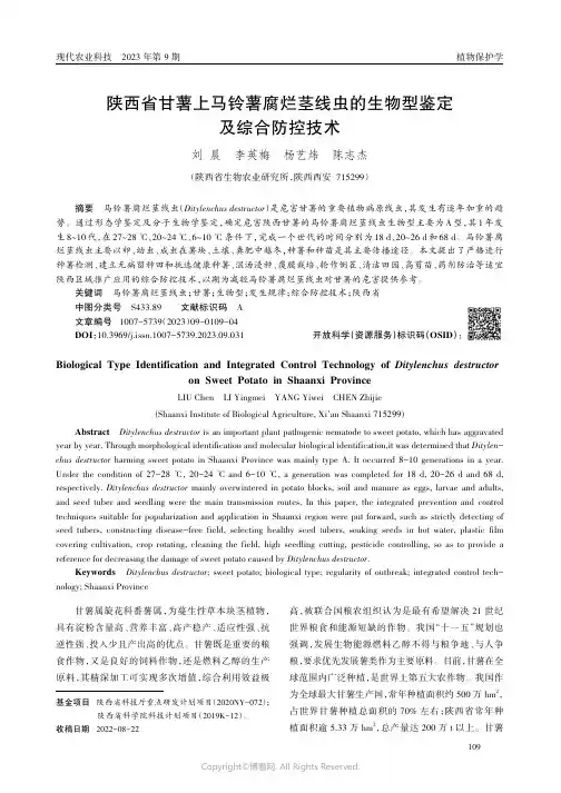 陕西省甘薯上马铃薯腐烂茎线虫的生物型鉴定及综合防控技术