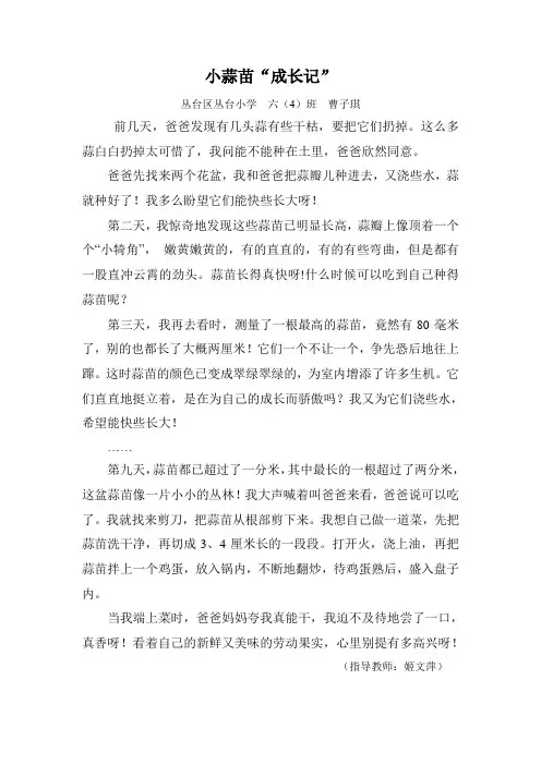 小蒜苗“成长记”曹子琪