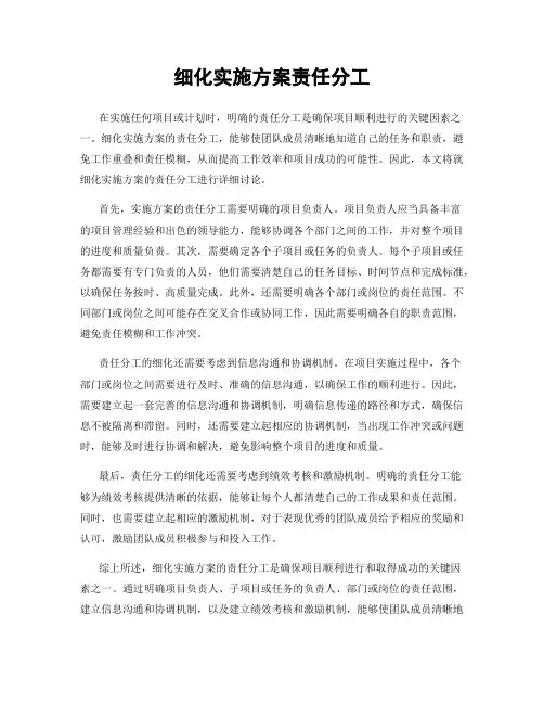 细化实施方案责任分工