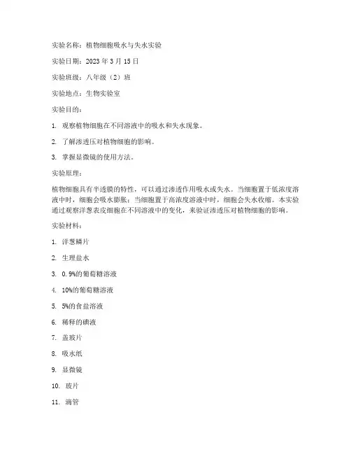 初中下册生物实验报告单
