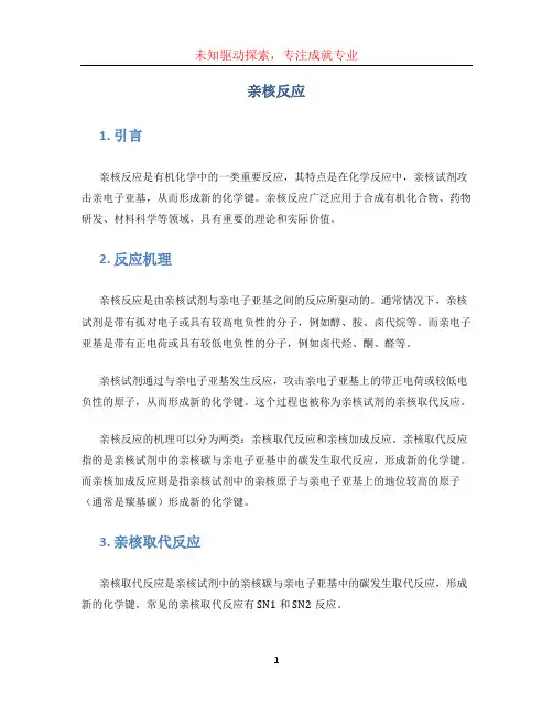 亲核反应文档