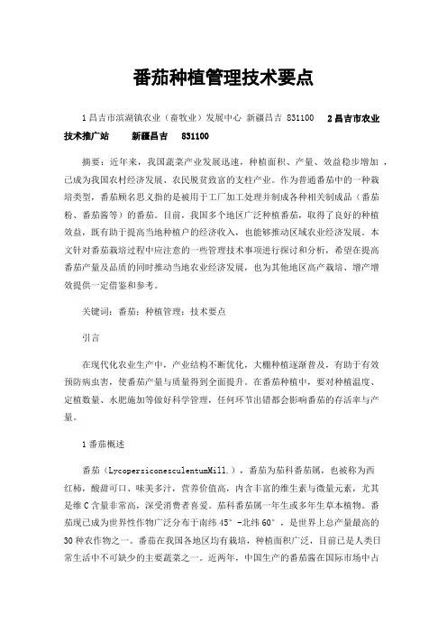 番茄种植管理技术要点