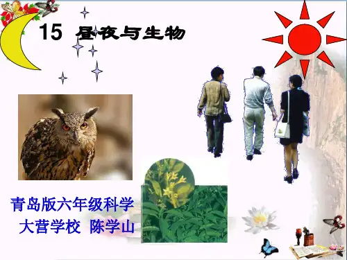 六年级科学上册昼夜与生物ppt课件6青岛版