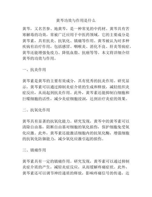 黄芩功效与作用是什么