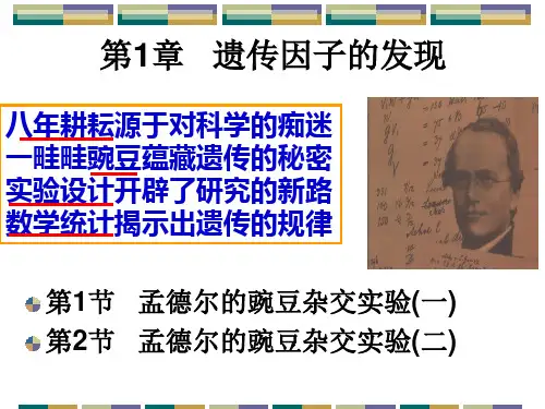 生物必修二第一章第一节课件ppt