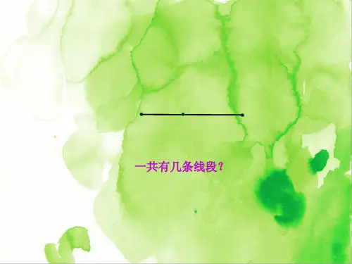 数学三年级第13讲：数图形(最新数学课件)