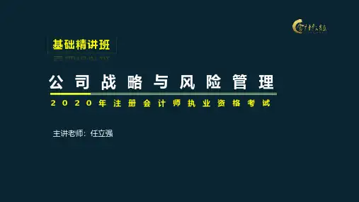 战略与风险管理 第1章