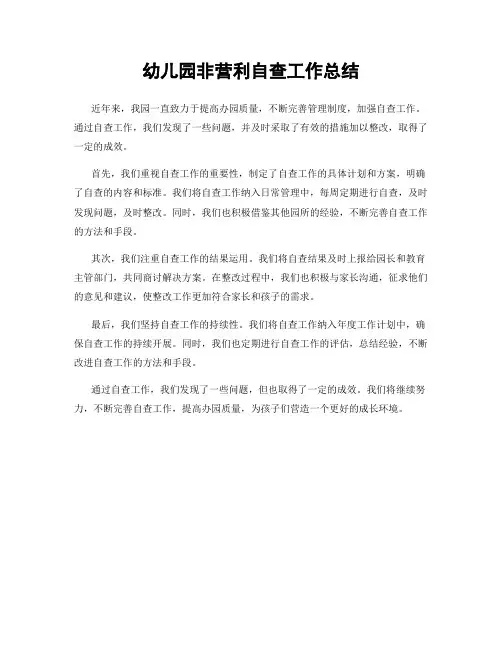 幼儿园非营利自查工作总结