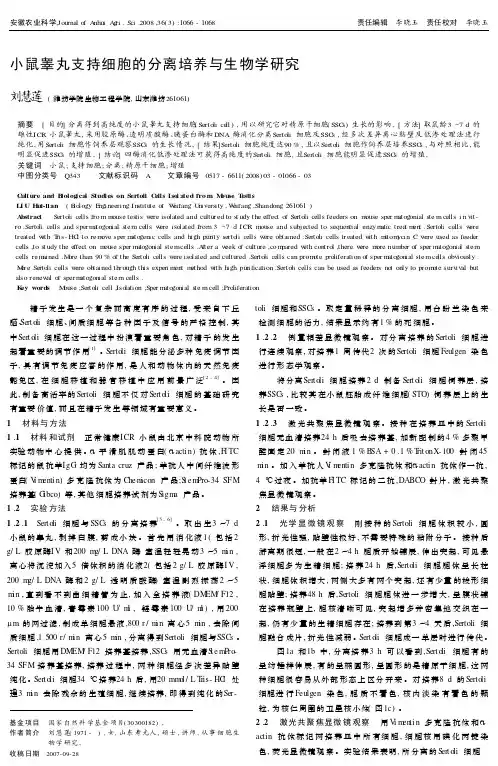 小鼠睾丸支持细胞的分离培养与生物学研究