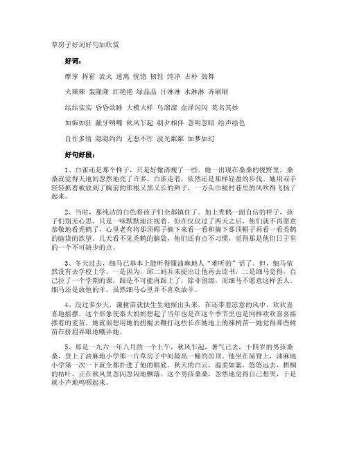草房子好词好句加欣赏