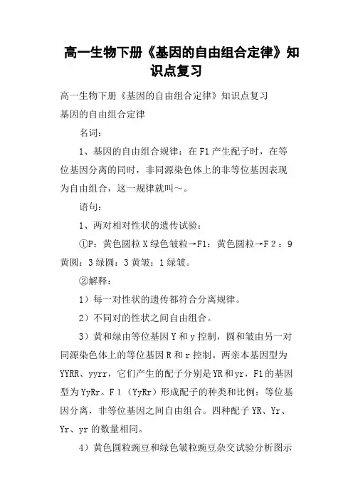 高一生物下册《基因的自由组合定律》知识点复习