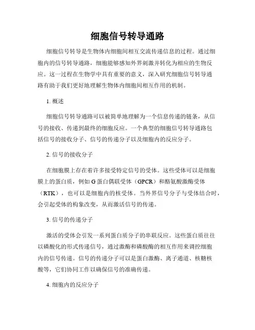 细胞信号转导通路