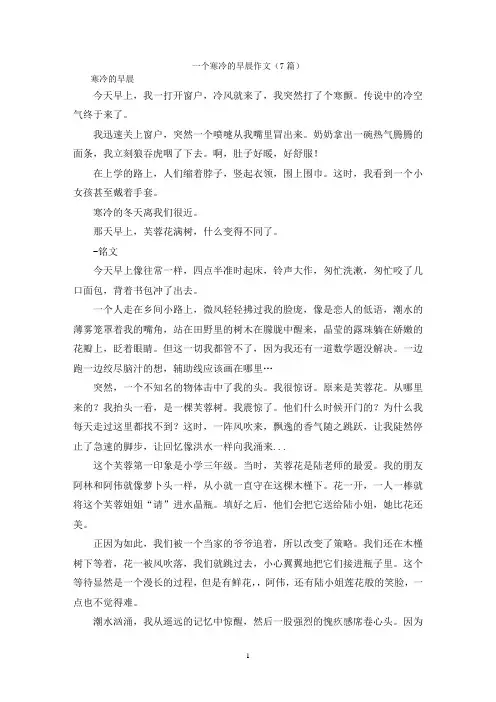 一个寒冷的早晨作文(7篇)
