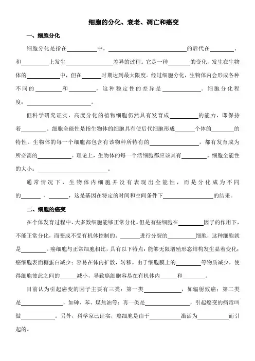 细胞的分化衰老凋亡和癌变复习