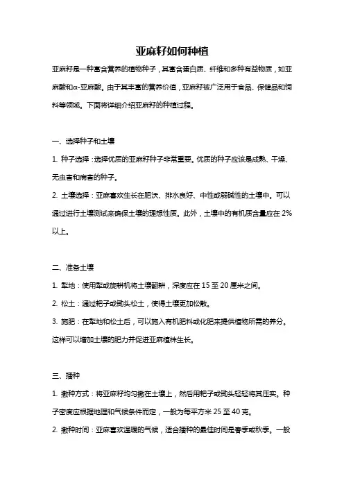 亚麻籽如何种植