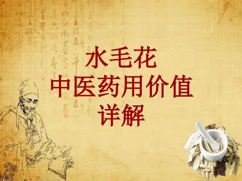 中药学_水毛花_药材详解课件模板