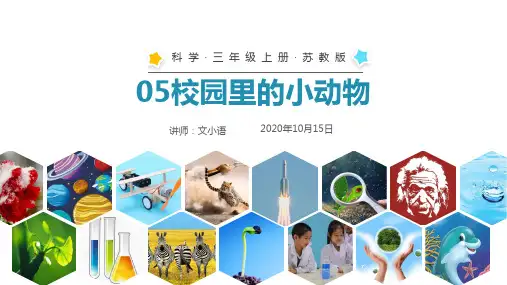 苏教版科学三年级上册05校园里的小动物PPT课件(附教案)