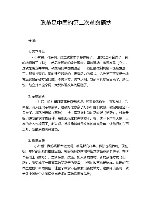 改革是中国的第二次革命摘抄