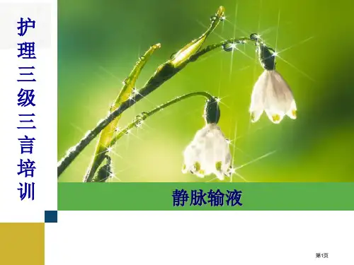 医疗护理三基三严培训静脉输液
