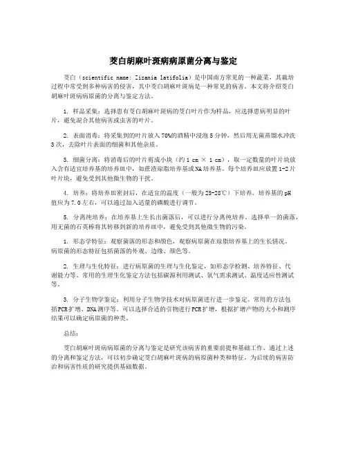 茭白胡麻叶斑病病原菌分离与鉴定