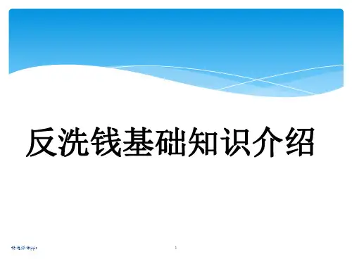 反洗钱基础知识ppt课件