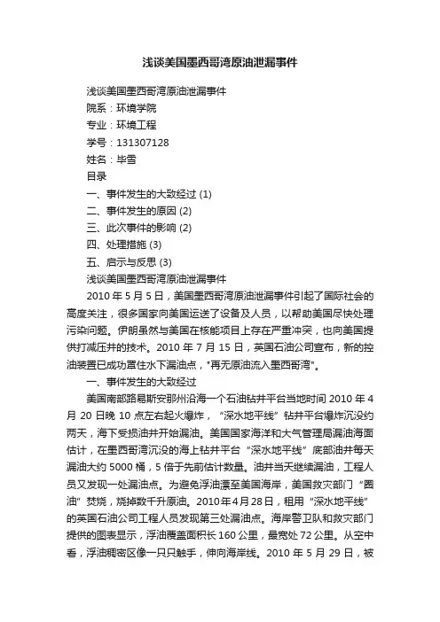 浅谈美国墨西哥湾原油泄漏事件