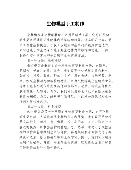 生物模型手工制作