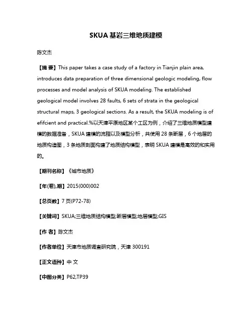 SKUA基岩三维地质建模