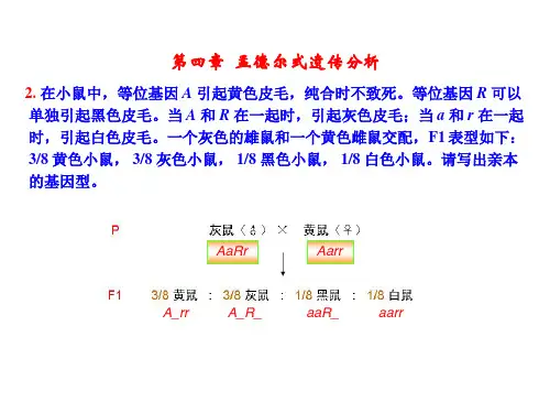 遗传学_第二版_课后部分答案(4~8章)_-