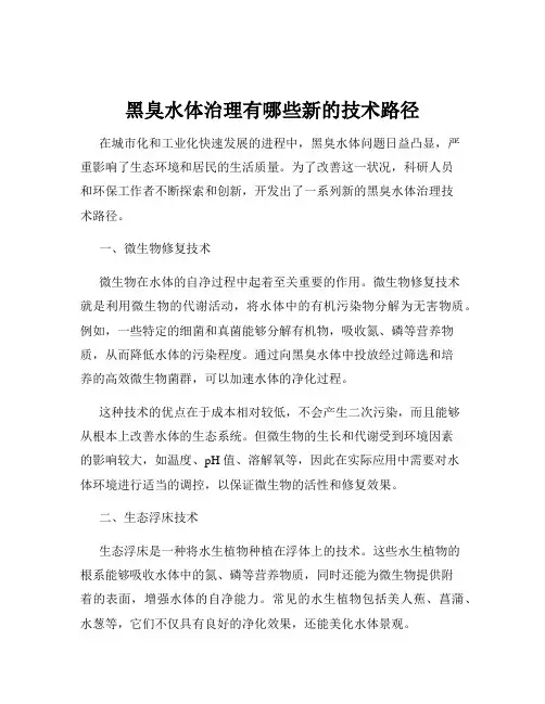 黑臭水体治理有哪些新的技术路径