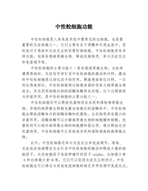中性粒细胞功能