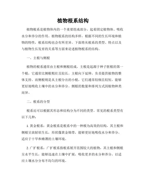 植物根系结构