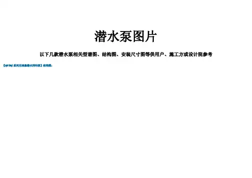 潜水泵图片